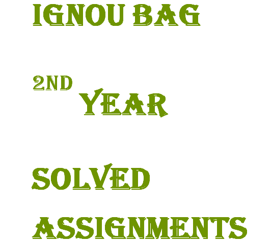 ignou assignment 2 year bag